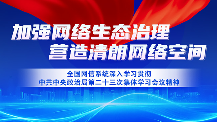 《全国网信系统深入学习贯彻中共中央政治局第二十三次集体学习会议精神》专题
